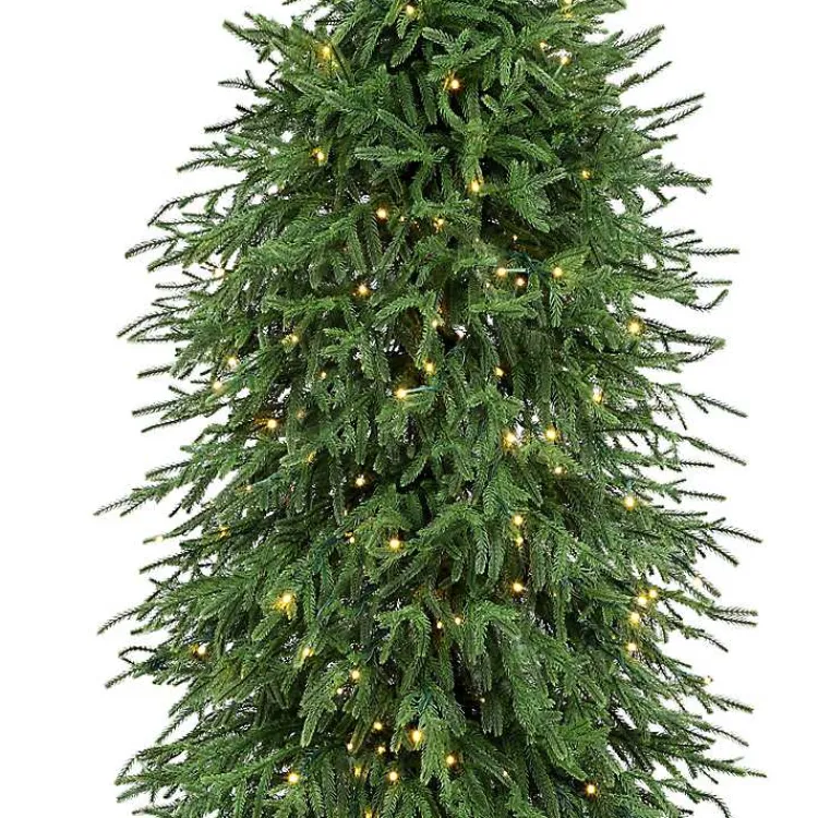 Christmas Trees>Kirklands Home 5 ft. Pre-Lit Natural Touch Norfolk Christmas Tree