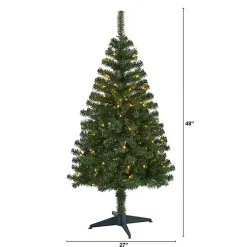 Christmas Trees>Kirklands Home 4 ft. Pre-Lit Northern Pine Christmas Tree