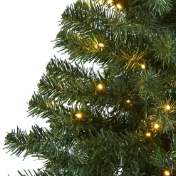 Christmas Trees><noscript><img width=