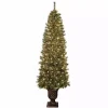 Christmas Trees>Kirklands Home 7 ft. Pre-Lit Pine Christmas Tree in Bronze Urn