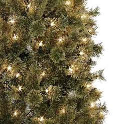 Christmas Trees><noscript><img width=