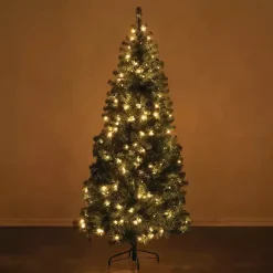Christmas Trees><noscript><img width=