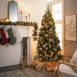 Christmas Trees><noscript><img width=