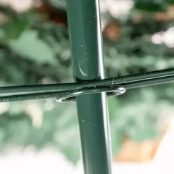 Christmas Trees><noscript><img width=