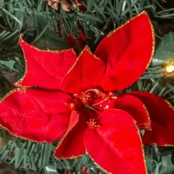 Christmas Trees><noscript><img width=
