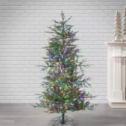 Christmas Trees><noscript><img width=