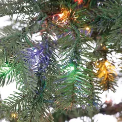 Christmas Trees><noscript><img width=