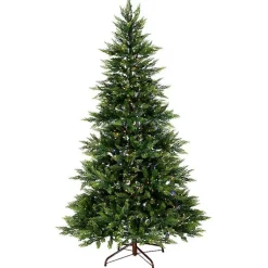 Christmas Trees><noscript><img width=