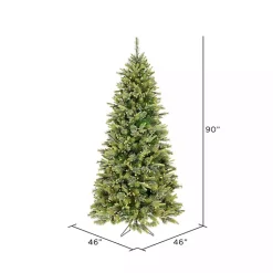 Christmas Trees><noscript><img width=
