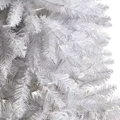 Christmas Trees><noscript><img width=