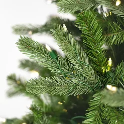 Christmas Trees><noscript><img width=