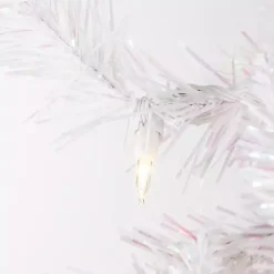 Christmas Trees><noscript><img width=