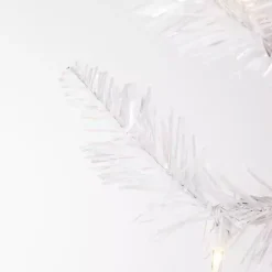 Christmas Trees><noscript><img width=