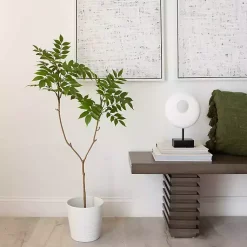 Trees & Topiaries><noscript><img width=