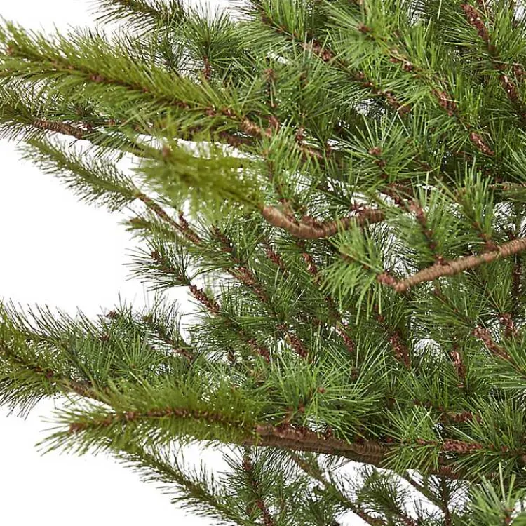 Christmas Trees>Kirklands Home 7 ft. Vancouver Mountain Pine Christmas Tree