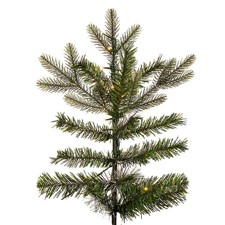 Christmas Trees>Kirklands Home 6.5 ft. Warm LED Douglas Fir Christmas Tree