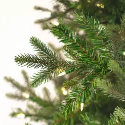 Christmas Trees><noscript><img width=