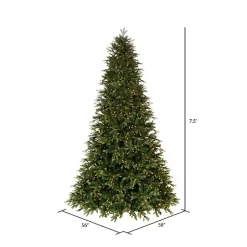 Christmas Trees><noscript><img width=