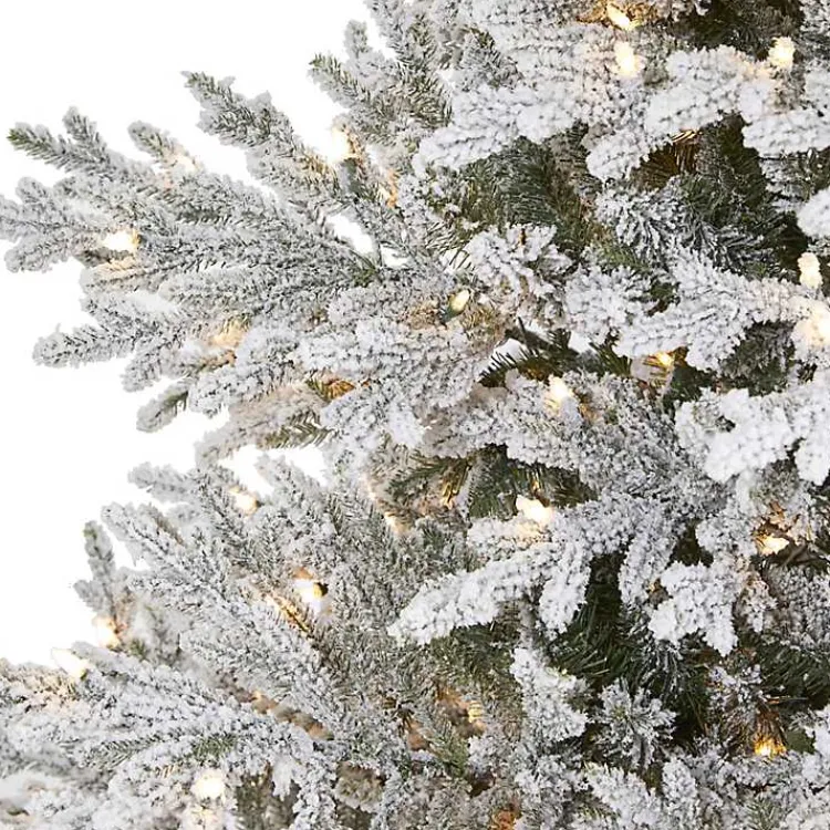 Christmas Trees>Kirklands Home 8 ft. Warm Lit Flocked Fraser Fir Christmas Tree