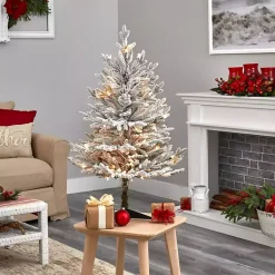 Christmas Trees><noscript><img width=