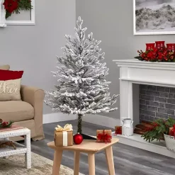 Christmas Trees><noscript><img width=