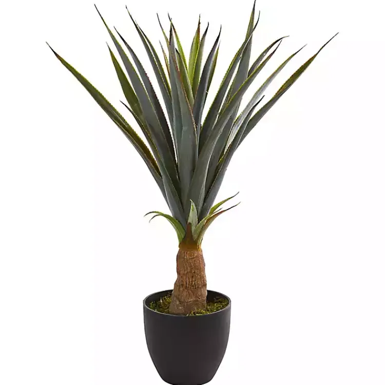 Trees & Topiaries>Kirklands Home Agave in Planter, 30 in.