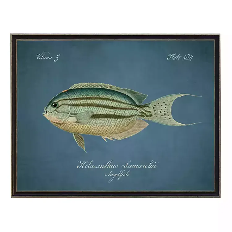 Kirklands Home Angelfish Framed Wall Art Blue Best