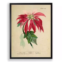 Christmas Art & Wall Decor>Kirklands Home Antique Christmas Poinsettia Framed Art Print