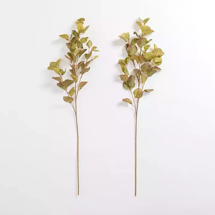 Stems & Bouquets>Kirklands Home Antique Eucalyptus Stems, Set of 2 Green