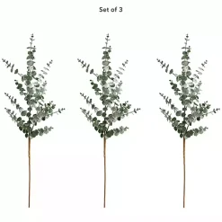 Stems & Bouquets><noscript><img width=