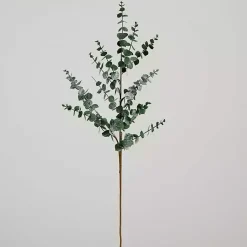 Stems & Bouquets><noscript><img width=
