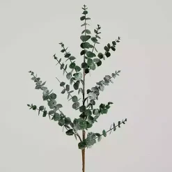 Stems & Bouquets><noscript><img width=