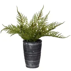 Arrangements & Greenery>Kirklands Home Asparagus Fern in Tall Black Planter