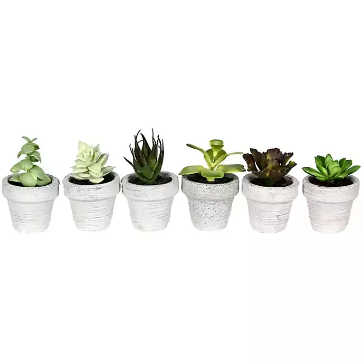 Arrangements & Greenery>Kirklands Home Assorted Potted Succulent Arrangements, Set of 6