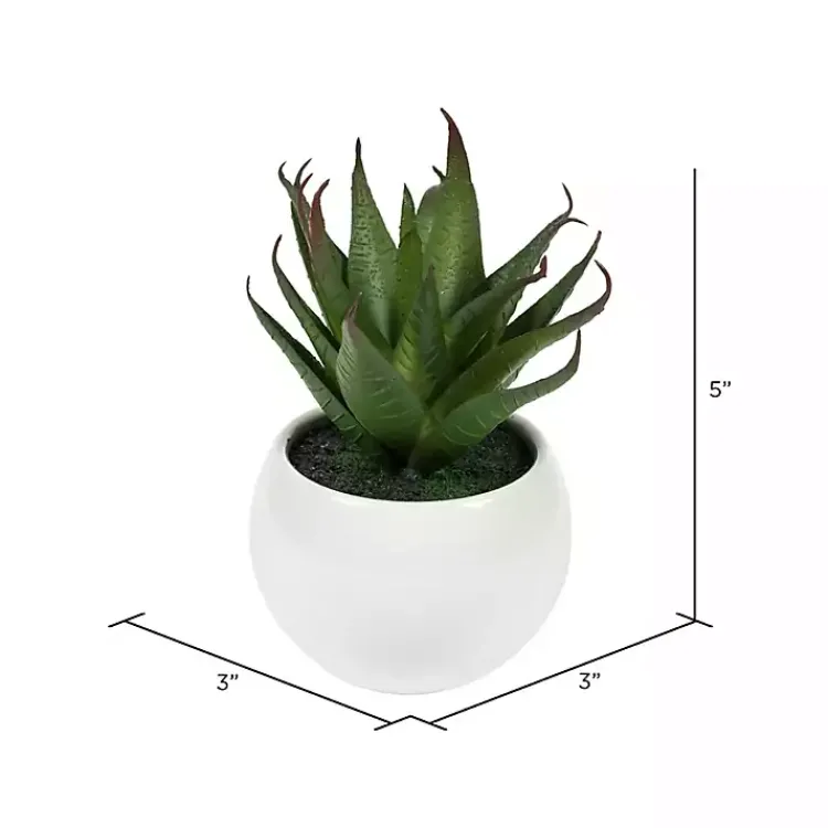 Arrangements & Greenery>Kirklands Home Assorted Succulents in White Planters, Set of 3