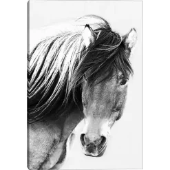 Kirklands Home At First Glance Canvas Art Print New