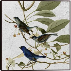 Kirklands Home Audubon Indigo Bird Framed Canvas Art Print
