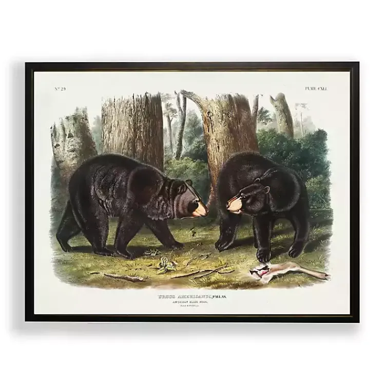 Kirklands Home Audubon Woodland Bears Framed Art Print