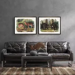 Kirklands Home Audubon Woodland Bears Framed Art Print