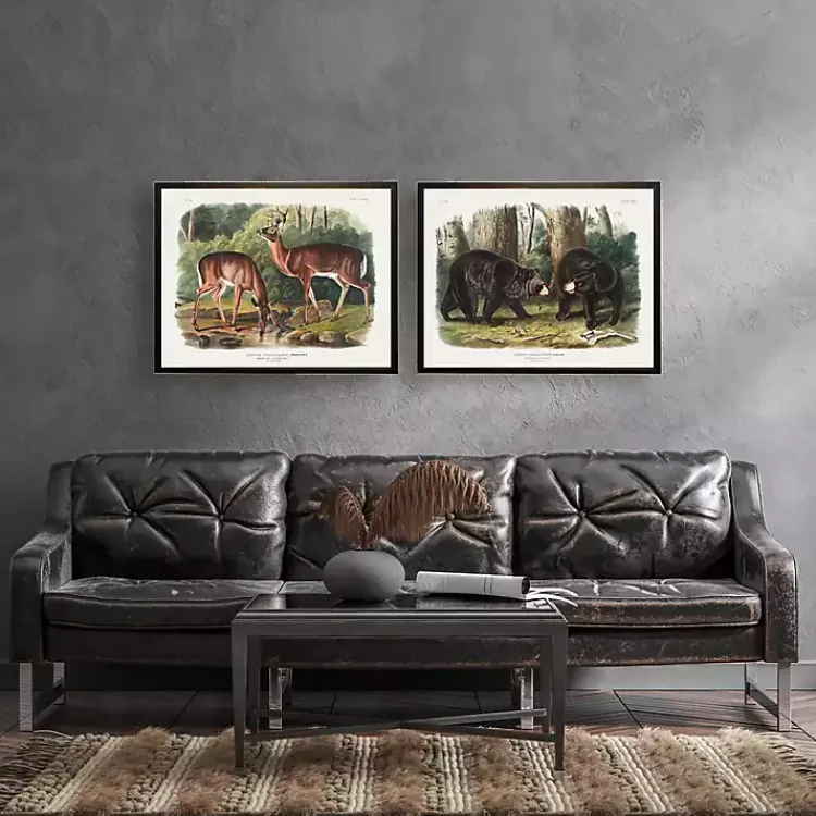 Kirklands Home Audubon Woodland Deer Framed Art Print Discount