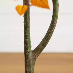 Trees & Topiaries><noscript><img width=