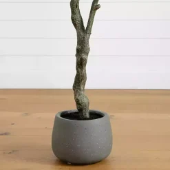 Trees & Topiaries><noscript><img width=