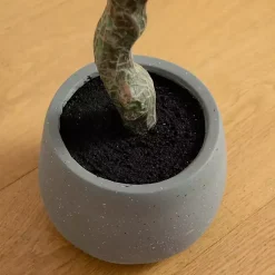 Trees & Topiaries><noscript><img width=