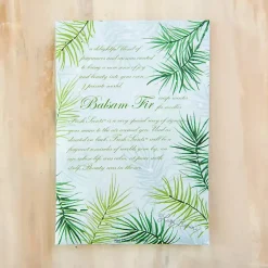Sachets>Kirklands Home Balsam Fir and Cedar Sachet