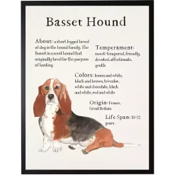 Kirklands Home Basset Hound Facts Framed Wall Plaque Best