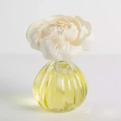 Home Fragrance>Kirklands Home Bee Happy Flower Petal Diffuser Set