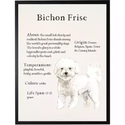Kirklands Home Bichon Frise Facts Framed Wall Plaque Online