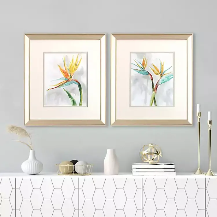 Kirklands Home Bird of Paradise Framed Art Prints, Set of 2 Clearance