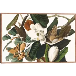 Kirklands Home Black Billed Cuckoo Framed Canvas Art Print Multi Clearance