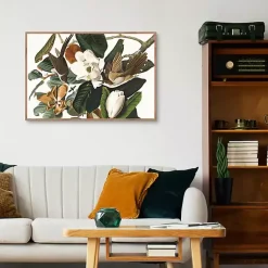 Kirklands Home Black Billed Cuckoo Framed Canvas Art Print Multi Clearance